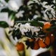 pexels-photo-6495837